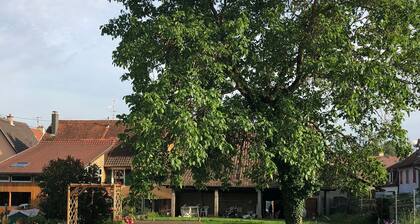 PhilâAudelĂ Petit havre de paix de 50 m2 dans un petit village Alsacien.