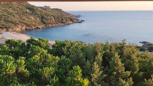 A coastal landscape with a beach, rocky cliffs, and dense greenery. - Maison Maquis - the view, the silence, the sea (Sartène)