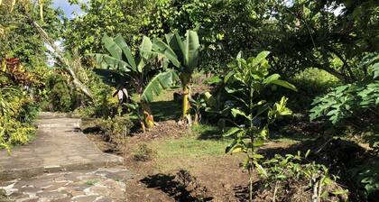 Los nidos de Belle-Eau