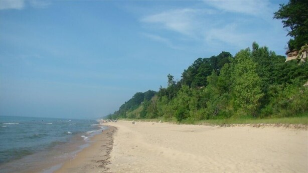 Een strand met een zandstrand en een beboste heuvel.