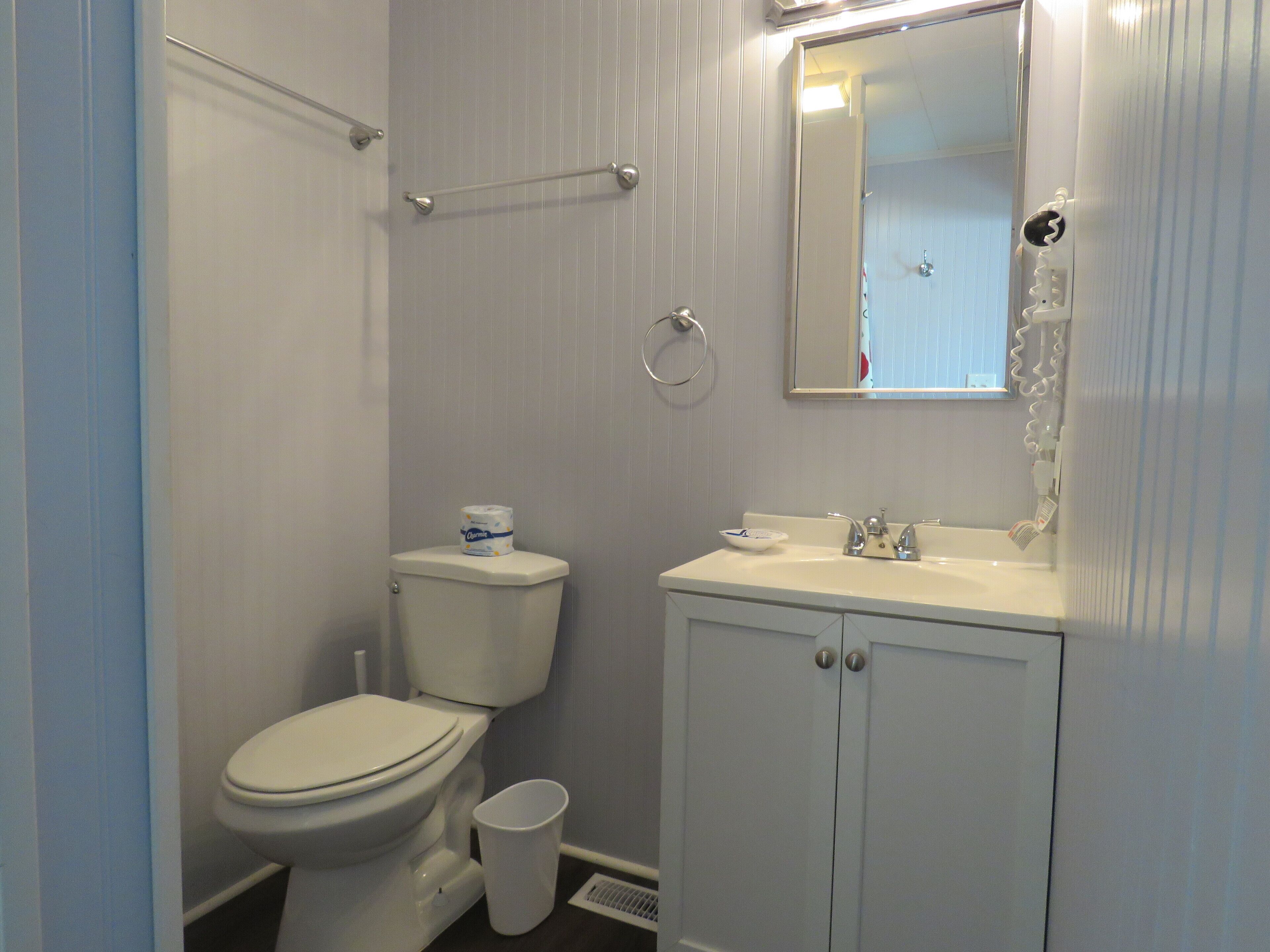 A bathroom with a toilet, sink, and mirror.