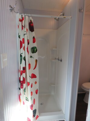 Regadera, secadora de cabello, toallas, jabón 