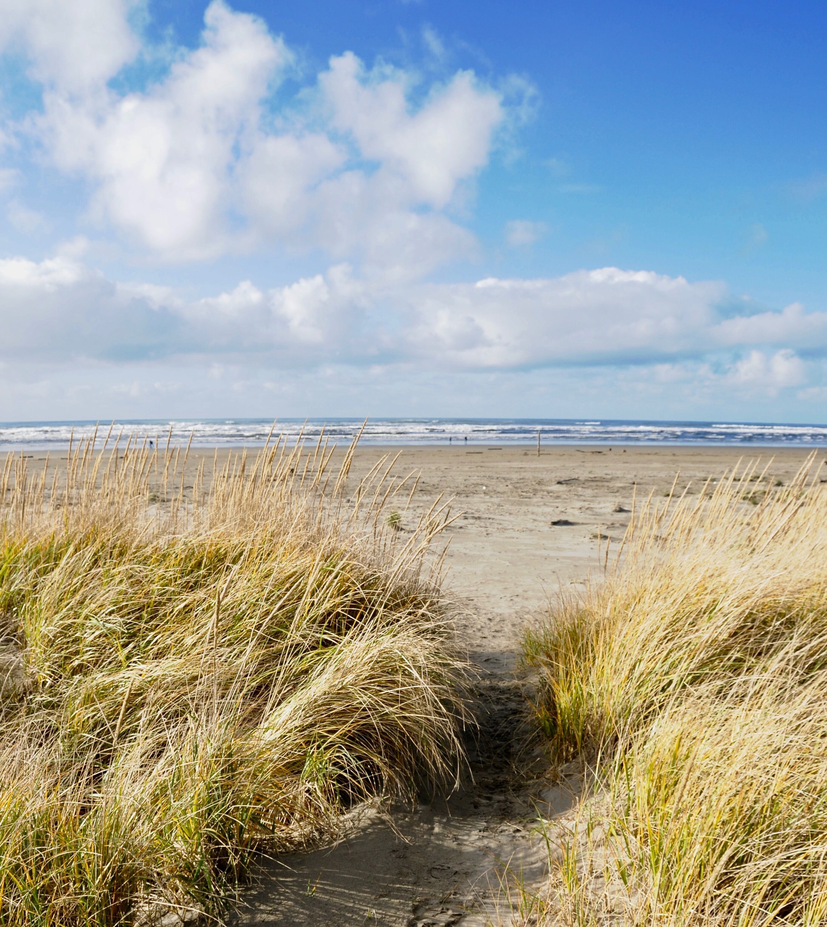 Plage à proximité, chaises longues