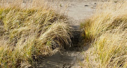 SeaBreeze Bungalow - Home 1/2 block to beach - Pet Friendly and Enclosed Fence!