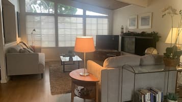 Televisor intel·ligent, llar de foc, reproductor de DVD i llibres