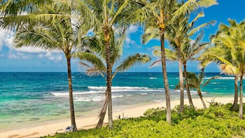 Beach nearby, sun-loungers, beach towels