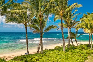 Una playa con palmeras y agua azul cristalina.