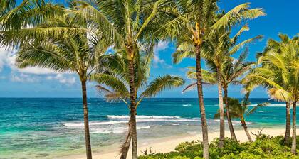 Adorable Studio, sleeps 3 - Totally renovated in 2018