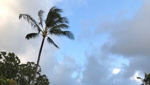 A swimming pool with lounge chairs, palm trees, and a cloudy sky. - Adorable Studio, sleeps 3 - Totally renovated in 2018 (Princeville)