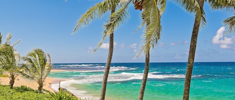 Playa en los alrededores, camastros, sombrillas y toallas de playa 