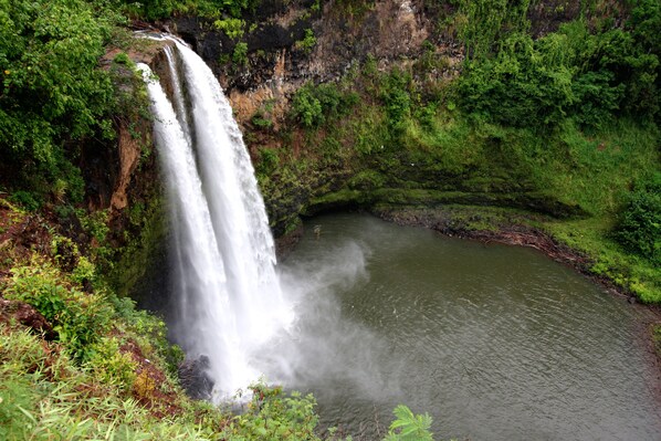 Een waterval stort naar een rivier, omringd door weelderige begroeiing.