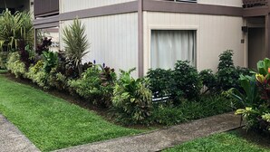 A two-story building with a balcony on the second floor, a window with blinds, and a well-maintained garden with various plants. - Adorable Studio, sleeps 3 - Totally renovated in 2018 (Princeville)