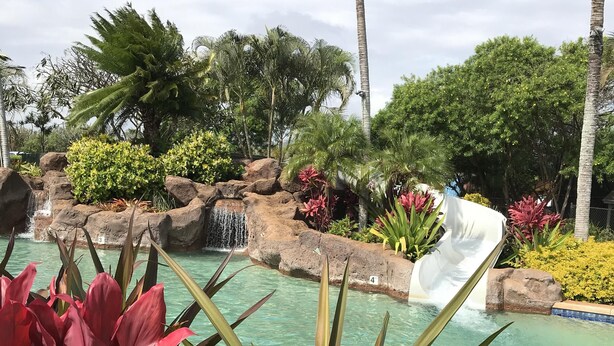 Zona de piscina con agua cristalina, rodeada de plantas tropicales y una pequeña cascada.