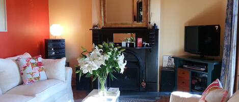 Fernseher, Kamin, DVD-Player, Bücher