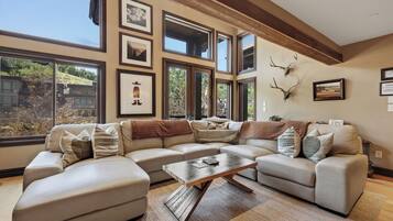 تلفزيون ذكي، مدفأة، ألعاب فيديو، مشغل دي في دي