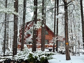 A cabin surrounded by tall trees in a snowy forest.