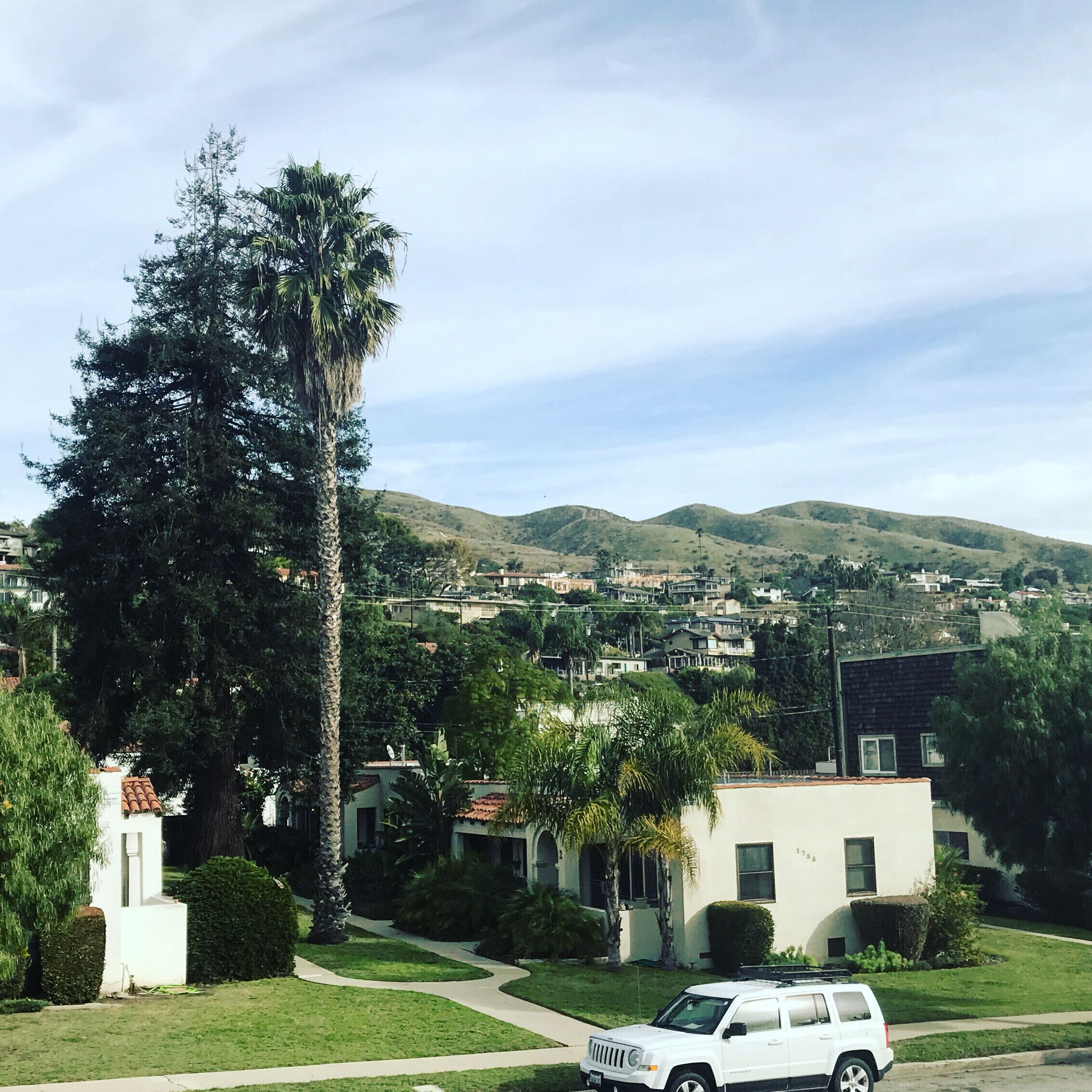 A residential area with houses, a white SUV, and a large tree.
