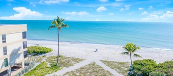 熱帯の風、海の音、ビーチの景色