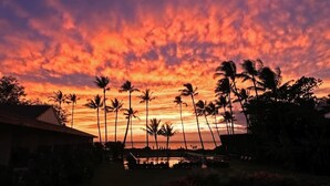 A sunset with palm trees silhouetted against a vibrant sky.
