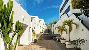Un estrecho callejón adoquinado flanqueado por edificios blancos con macetas y cactus.