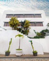 Un edificio con fachada blanca y numerosas ventanas. Hay plantas en macetas frente al edificio, incluyendo una palmera y otra vegetación.