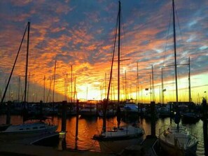 Mooring lines and buoys line the marina, where sailboats are docked.