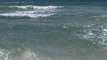 海灘