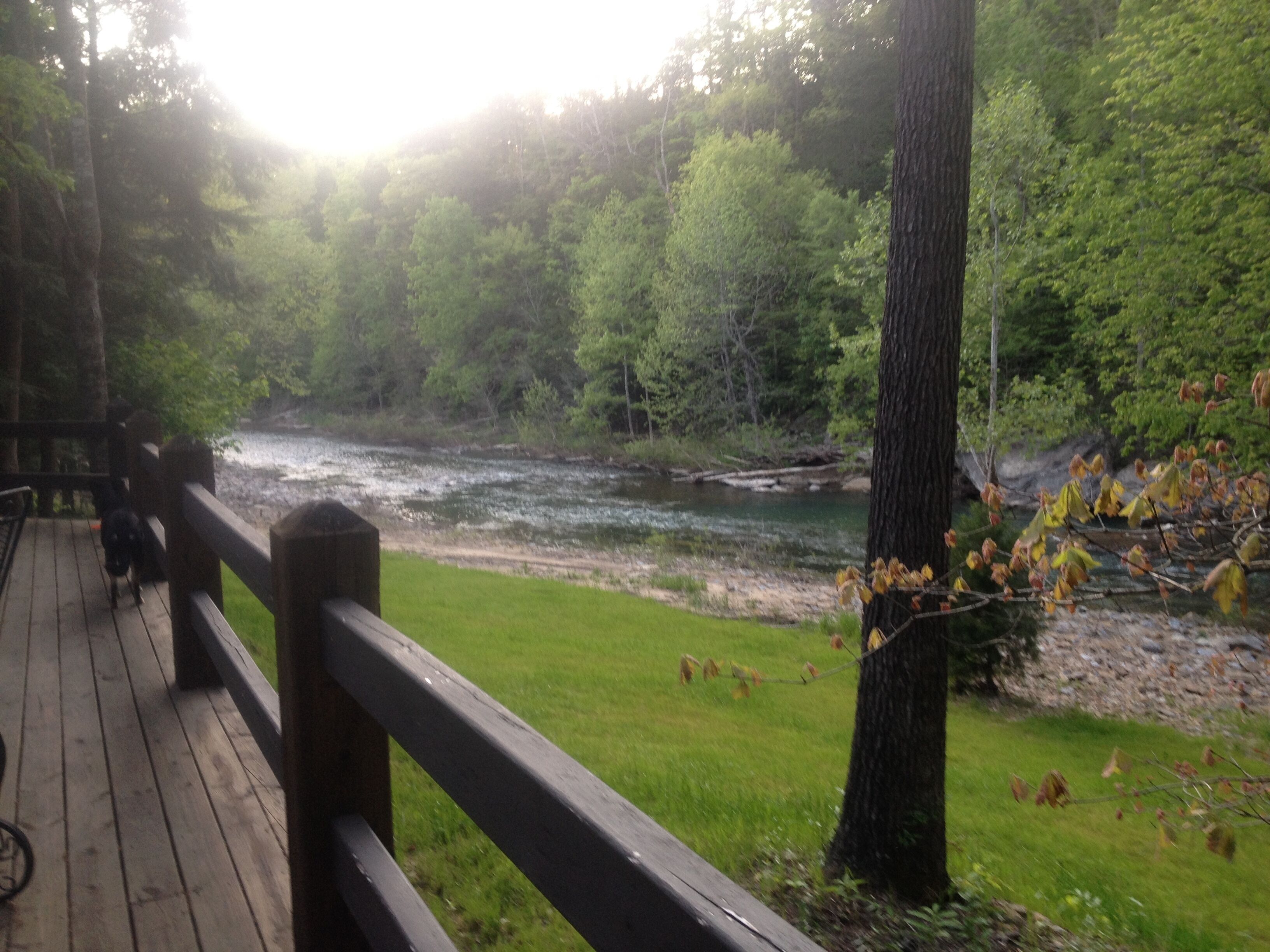 A wooden deck overlooking a river with trees in the background.