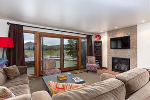 Televisio, takka, DVD-soitin, musiikkikirjasto