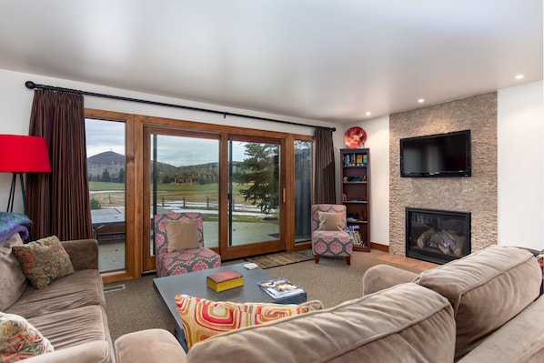 TV, fireplace, DVD player, music library