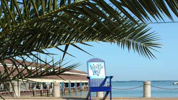 Vista de una playa con un cartel que dice 'LakeFrie Love', una silla azul y una fila de flores rosas.