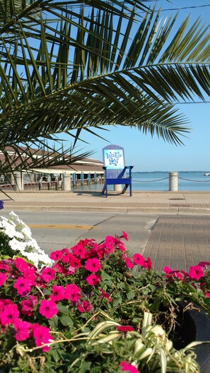Une vue sur la plage avec un panneau indiquant « LakeFrie Love », une chaise bleue et une rangée de fleurs roses.