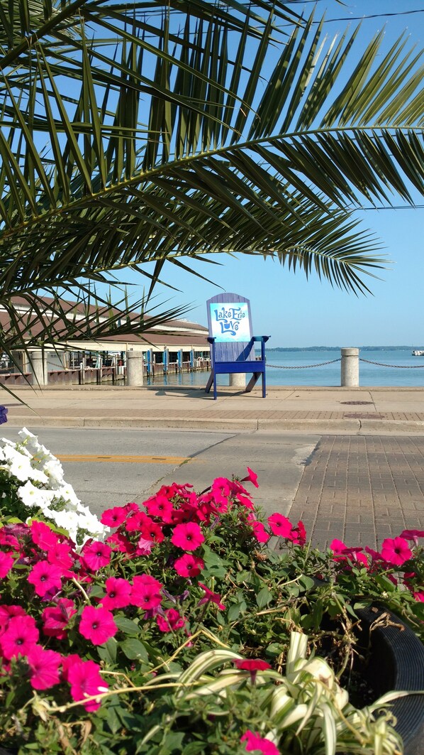 المنطقة المحيطة بالمنشأة