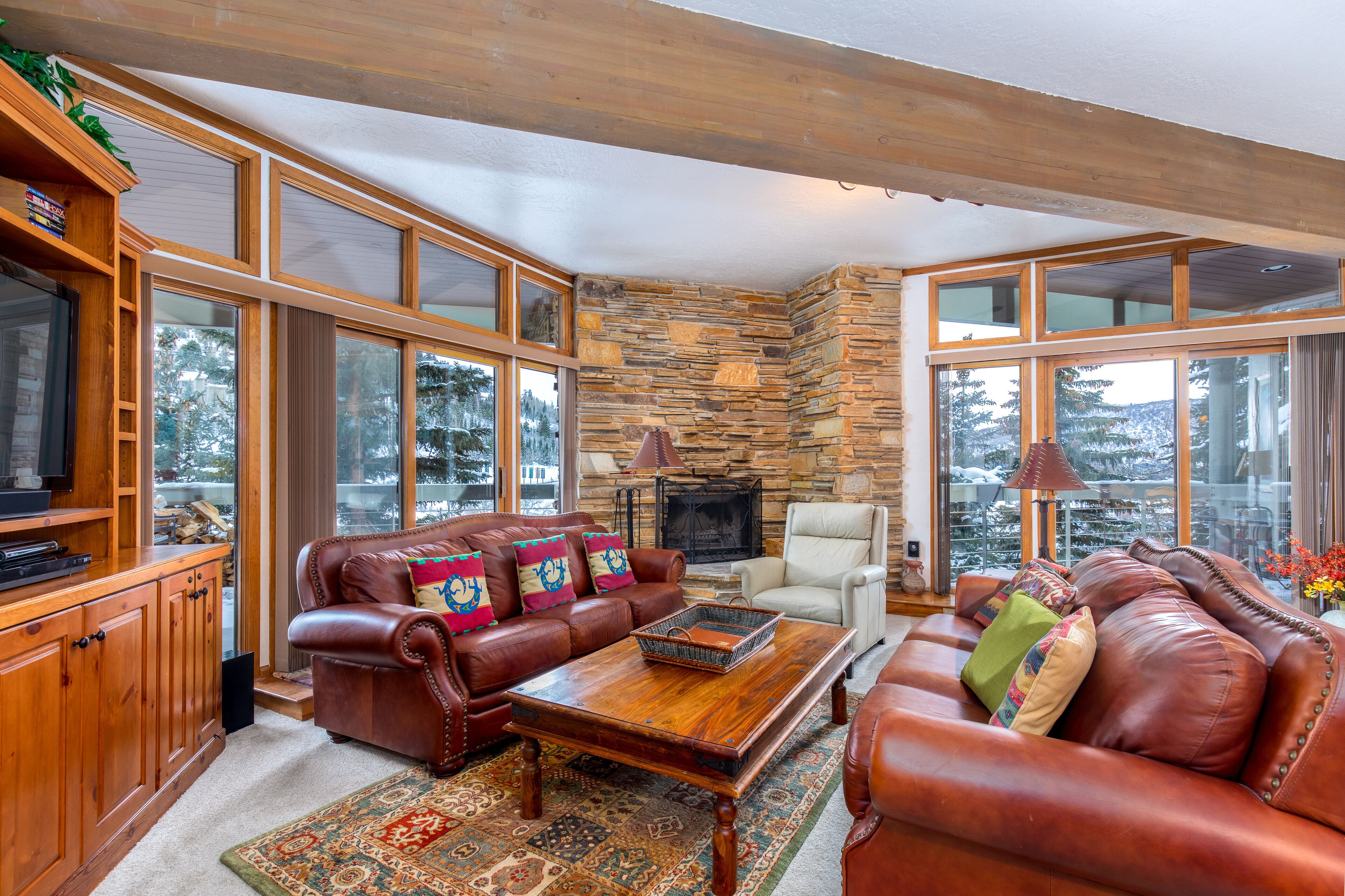 Televisor, llar de foc i reproductor de DVD 