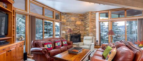 TV, fireplace, DVD player