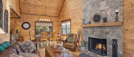 Télévision, cheminée, lecteur de DVD