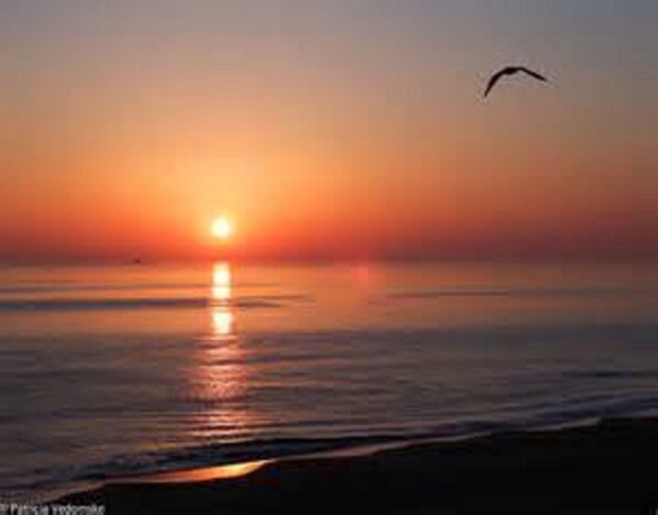 Beach nearby, sun loungers