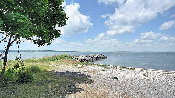 Une plage avec un affleurement rocheux, des zones herbeuses et un arbre.