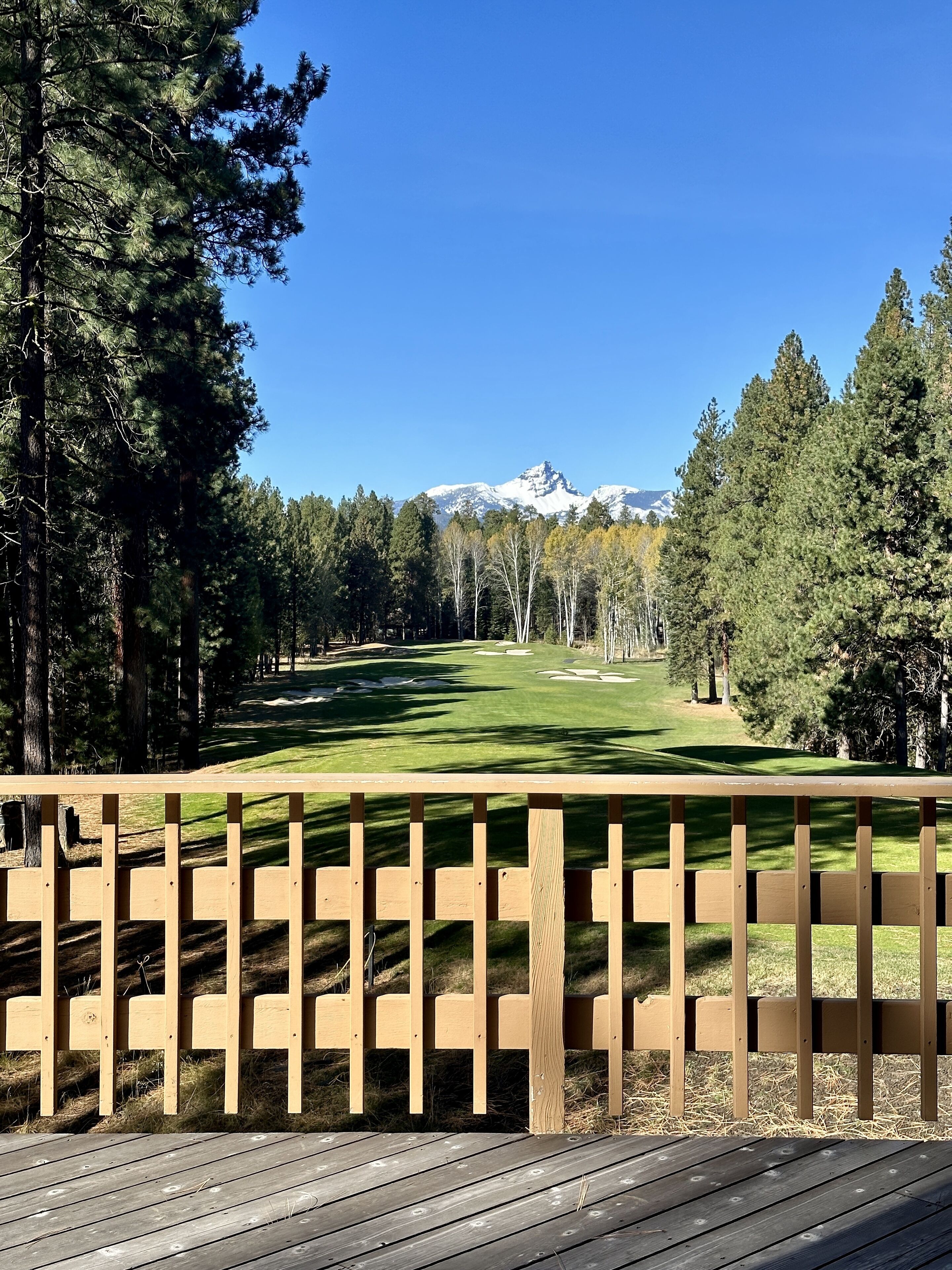 Gorgeous view of Big Meadow Course #14 and Mount Washington!