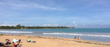 على الشاطئ، كراسي للتشمس، مناشف للشاطئ