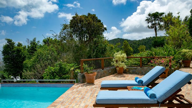 Un espace aménagé au bord de la piscine, avec des chaises longues et des plantes en pot.