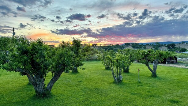 A grassy field with trees and a sunset in the background. - The Moon House. Come mingle with the stars. (Hotchkiss)