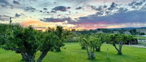 المنطقة المحيطة بالمنشأة