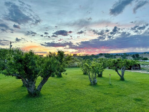 The Moon House. Come mingle with the stars.