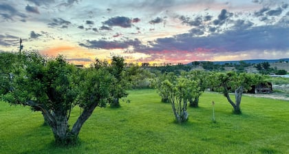 The Moon House. Come mingle with the stars.