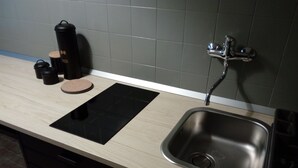 Une cuisine dotée d’un évier en acier inoxydable, d’une plaque de cuisson à induction noire et d’un plan de travail en bois.