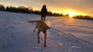 Une personne et un chien se trouvent dans un espace extérieur enneigé, avec un coucher de soleil en arrière-plan.