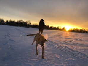 A person and a dog in a snowy outdoor area with a sunset in the background.
