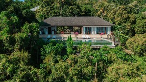 A house with a swimming pool surrounded by lush greenery.