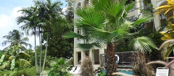 Mahi Mahi Suite, A Seaside Retreat that Sleeps Six on Grafton Beach